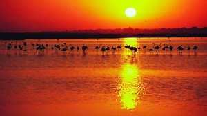 Seis grandes proyectos en Andalucía para preservar los ecosistemas