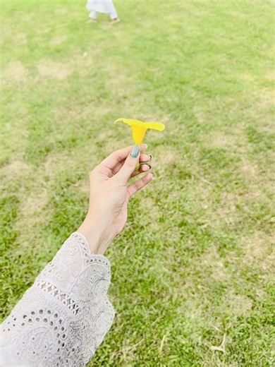 Aesthetic Short Video Vibes: calming visuals and soft stickers
