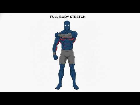 Full Body Stretch Routine Improve Mobility & Flexibility 08 Min