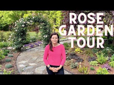 Rose Garden Tour | Gardening with Creekside