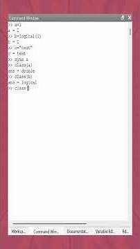 Never Wonder About Variable Types Again #shorts #matlab #tutorial