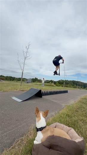 DAY 29 of jumping +1 cone each day until I… 🧟