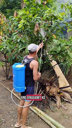 Electric Rechargeable Knapsack Sprayer Review