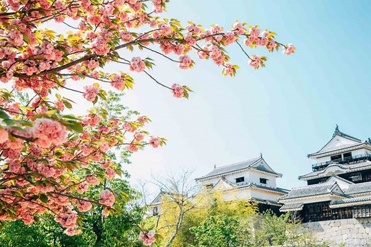 15 Best Places to Visit in Japan in Spring – YouGoJapan