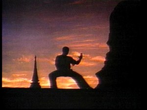 Karate Tiger 3 - Der Kickboxer (1989) ⭐ 6.4 | Action, Sportfilm, Thriller