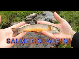Alla ricerca del Salmerino Alpino