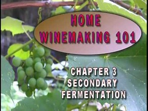 331 0003 Winemaking 101 Secondary Fermentation