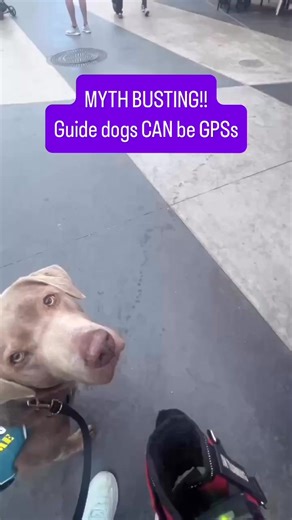 12K views · 604 reactions | Mum says it’s time for some myth busting!...