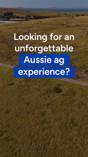 We’re gearing up for another big rice-harvest season! 🌾 The harvest is set to kick off in January and we’re looking for motivated people to join the team in NSW. Whether you’re looking to learn new skills, take on a challenge or be part of something rewarding, there’s a place for you this harvest season. 👉 Apply now to secure your spot for the 2026 rice harvest! https://www.agrilabour.com.au/rice-harvest | Agri Labour Australia