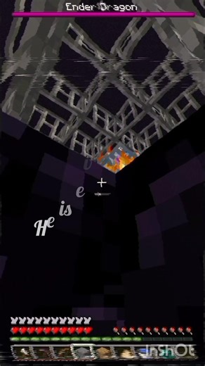 Sus wandering trader #minecraft