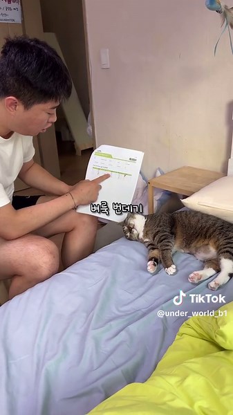 희귀 알레르기 고양이와 알레르기 검사 이야기