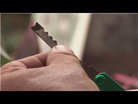 Gardening From Seeds : How to Plant an Olive Seed