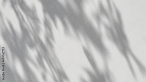 Leaves sunlight natural shadow overlay on white texture background wall. Transparent soft light and shadows from branches, plant, foliage and leaves.