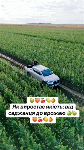 4.7K views · 1.3K reactions | #lovelife #fruits #ukraine #дача #best | Тарас Мельник | Facebook