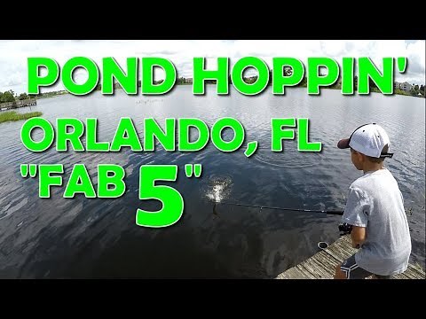 Orlando Pond Fishing Challenge | Catching Bass from the Shore