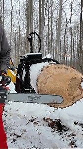 10K views · 50 reactions | Milwaukee M18 FUEL Forge Dual Battery vs Stihl MSA 300: Which cordless chainsaw reigns supreme? 漢⚡ We put them to the test!  See the cutting power, runtime, and features in this epic showdown! #Milwaukee #Stihl #Chainsaw #Cordless #powertools | WorkshopAddict.com | Facebook