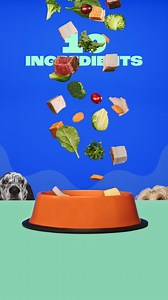 Fresh food made with real meat, fruit & veggies, plus vitamins and minerals. For healthy dogs that are ready for more zooms, fetch, and love to give. | Chewy