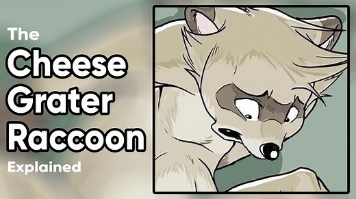 What's The 'Cheese Grater Raccoon?' Here's Why You Don't Want To See It
