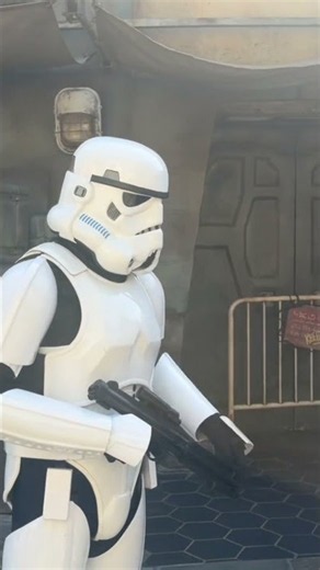 Star Wars Storm Troopers looking for Princess Leia Organa!