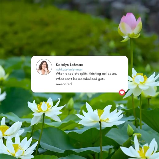 Dr. Katelyn | Mental Health & Wellness Expert on Instagram: "Splitting is a primitive defense. It arises when reality feels too overwhelming to hold in one piece. In psychoanalytic terms, splitting divides the world into all good / all bad, us / them, innocent / monstrous—not because it’s true, but because ambiguity feels intolerable to a threatened psyche. Our collective response to the January 6th attacks on the US Capitol bears this signature. Some bodies flooded with terror. Some with righte