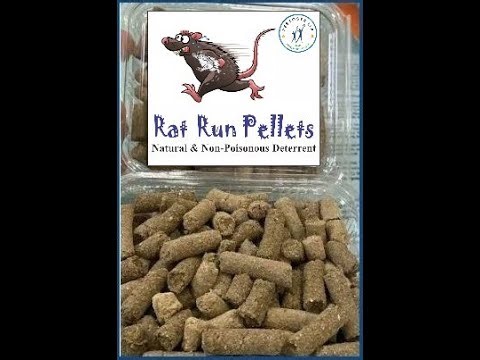 Rat Run Green Bait: An effective Rodent Management Product of Pestosys LLP