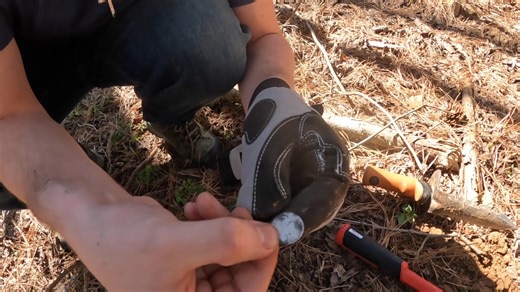 How an 1800s American silver coin stayed buried until it was recovered