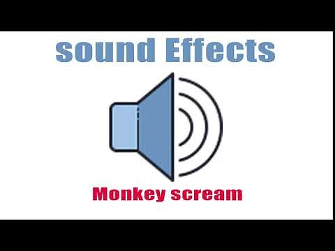 Monkey scream | sound effect | Non-copyrighted | Voices unique to animals