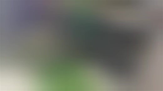 Big Tamed Parrots | Rehmat Exotics Ahmedabad Gujarat | Amazon, Cockatoo, Lorikeet parrot Rehmat Exotics For any Help or appointment - 9313935242 Near Kalupur Railway Station, Panch Kuva Gate CONGO OFFICIAL Brand Partner https://www.thecongo.in/cart #bigparrot #handtamedbirds #petguru #rehmatexotics | Pet Guruji