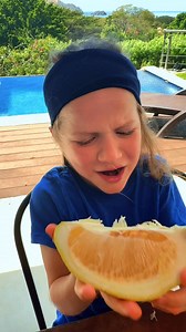 5.3K views · 99 reactions | When life gives you lemons… make sure they’re this big!  Unlike regular lemons, citrons are one of the oldest citrus fruits and were even used in ancient medicine! Would you take a bite? #romeoeats #funfacts #lemon #citron #costarica | Romeo Eats | Facebook