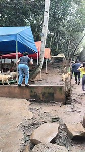 1M views · 953 reactions | Jan Francis Rivares on Reels | Facebook