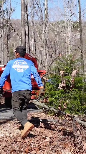 Tree Service Job Opportunities in Your Neighborhood