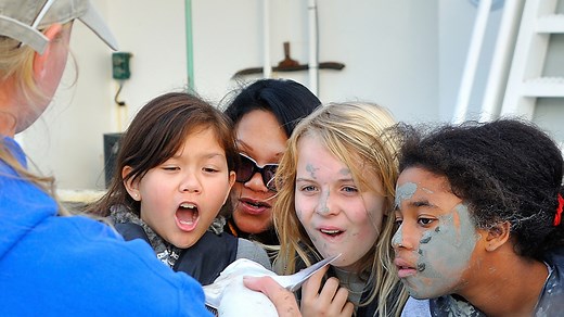 Bay Watershed Education and Training (B-WET)