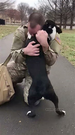 Home at last ！😭❤️ #dogs #animals #dog