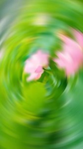 #islamic #hadees Hadees Sharif About Healthy Diet || Talbina Use Karo || Hadith in Urdu || Islamic Hadees Status #hadithoftheday #islam #muslim #reelsviralシ #reelsfbシ #reelsviralfb #reelsfypシ #reels2024 #shortsyt #reelsvideo #youtubeshortsvideo #reelsfacebook #reelschallenge #healthydiet #hadeessharif #health My Entertainment Factory is presenting new video of Hadees Sharif About Healthy Diet. ┄┅┅✪❂✵🔵✵❂✪┅┅┄┄ KEEP SUPPORTING 🥰 My Entertainment Factory ❤️ By Sharing videos with Your Loved Ones M