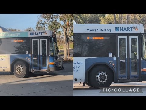 Hart buses #1511 and #1516 on Route 6 arriving and leaving Netpark Transfer Center