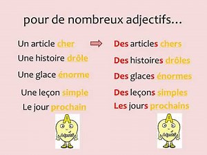 Le Pluriel Des Adjectifs Ce2