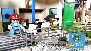 Toy farm animals, fences and gates: guiding cows to the meadow in a very large playset