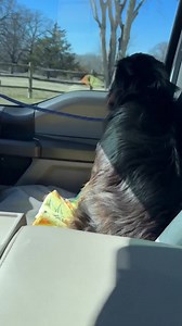 18K views · 1.2K reactions | Belle's person had given her away for...