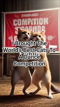I Brought The World's Best Cats To A Dance Competition