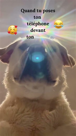 Test écran validé 😂🥰🥰