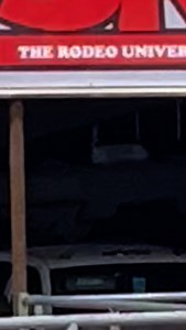 175 reactions · 14 shares | That’s a wrap on the Sul Ross Rodeo! Alpine is the Birthplace of College Rodeo! | Visit Alpine, Texas | Facebook