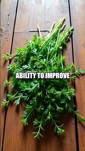 Uncovering the Benefits of Tarragon