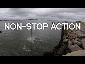 Non Stop Fish Catching Action of 2024 | Texas Inshore Fishing