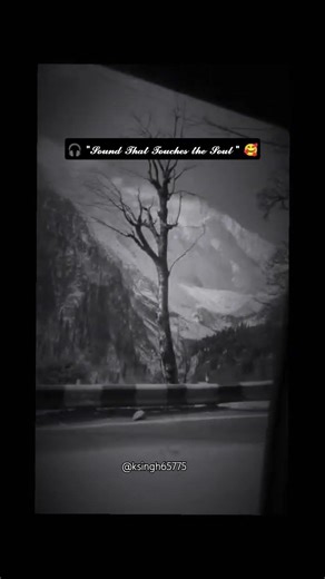 Audio Mode ON | Music for Every Mood