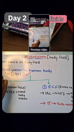 Understanding Body Fluids: Their Importance and Functions