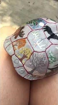 13 moons on a turtles back