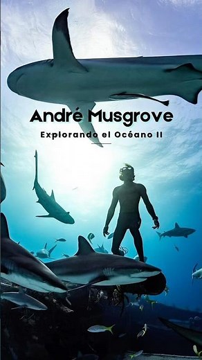 André Musgrove: The man who transforms the ocean into art 💙🌊
