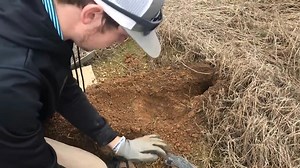 12K views · 88 reactions | Learn the most effective and easiest methods to trap coyotes with this simple guide. From setting up traps to the best bait, this video makes coyote trapping easier than ever. | Ellen Roman | Facebook