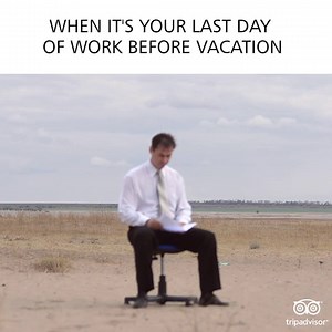 189K views · 232 shares | …AND when you know that you found the lowest hotel price, courtesy of TripAdvisor! | Tripadvisor | Facebook