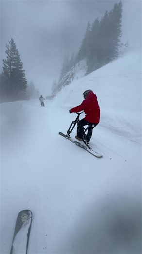 Snowy day #trixy #skibike